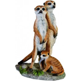 Famille de suricate