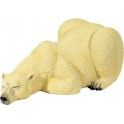 ours polaire se reposant
