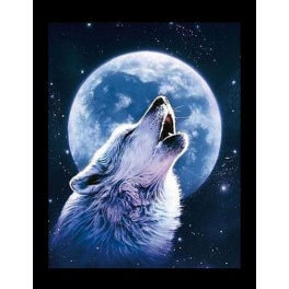 Kit de tableau de strassage 3D "Loup au clair de lune" 