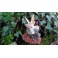 Chat féerique ailé "Bella" de la collection Fairy Tails