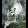Kit de tableau de strassage 3D "Loup en noir et blanc"